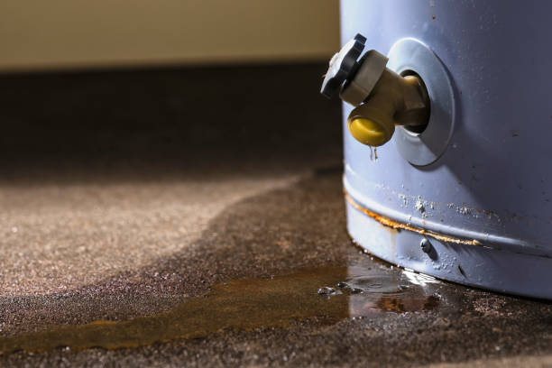 Best Ceiling water damage repair  in Finneytown, OH