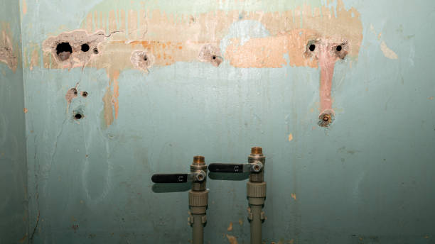 Best 24-hour water damage restoration  in Finneytown, OH