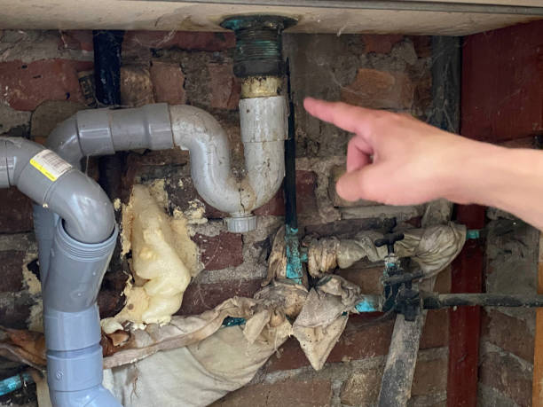 Best Water damage repair service  in Finneytown, OH