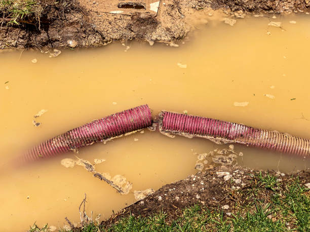 Best Water damage restoration process  in Finneytown, OH