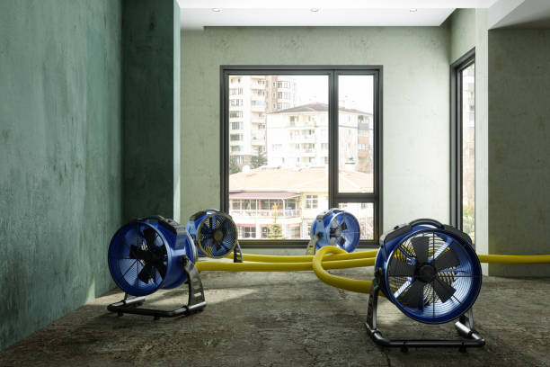  Finneytown, OH Water damage restoration Pros